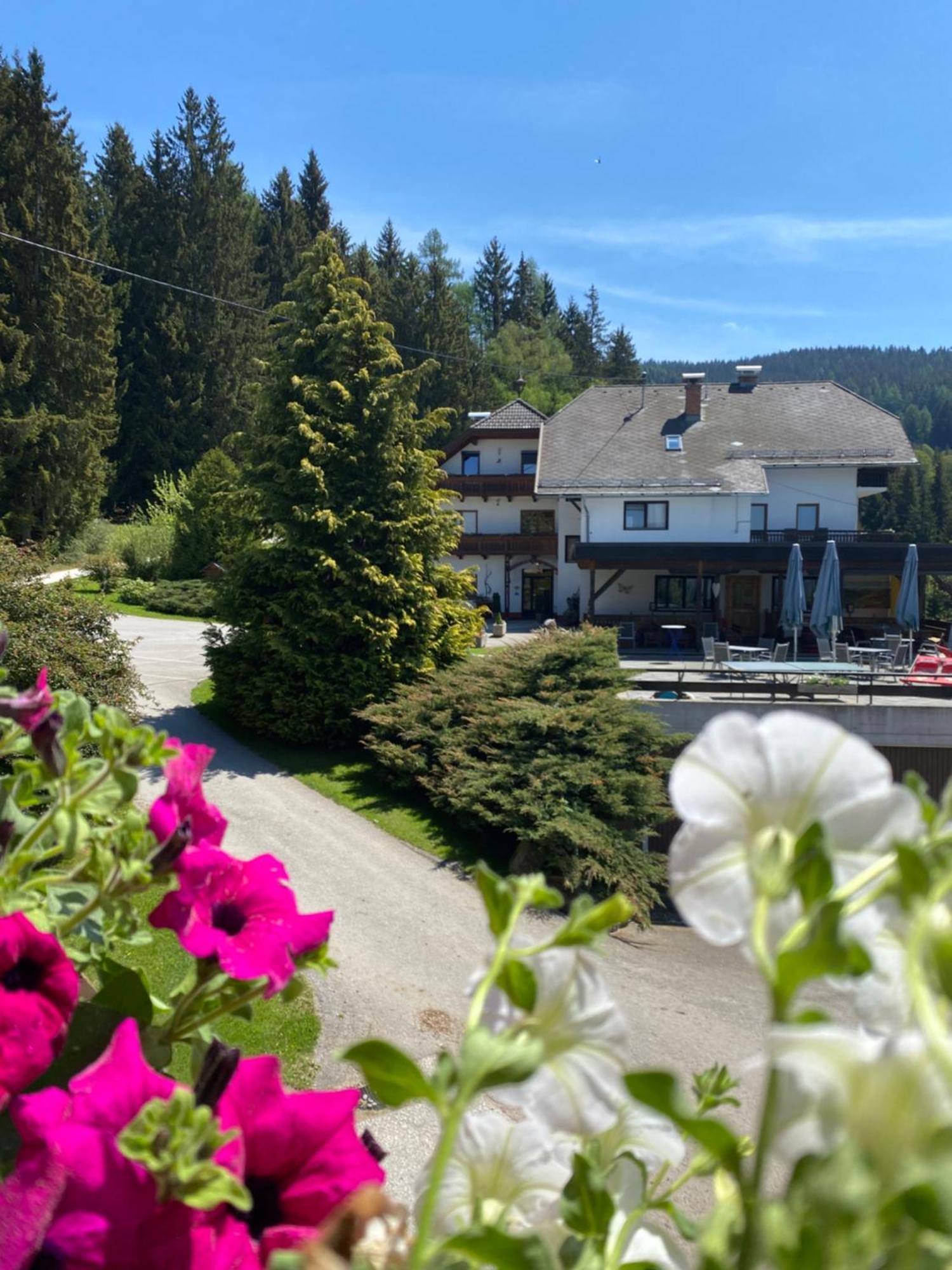 Forellenwirt Bacher Kirchberg  Ngoại thất bức ảnh